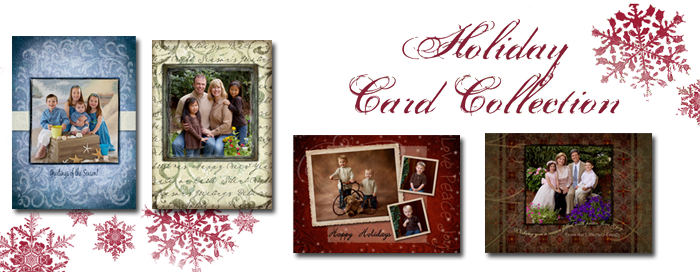 Holiday Cards by  Susan White and Mark O'Connell